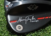 Harry Taylor wedge