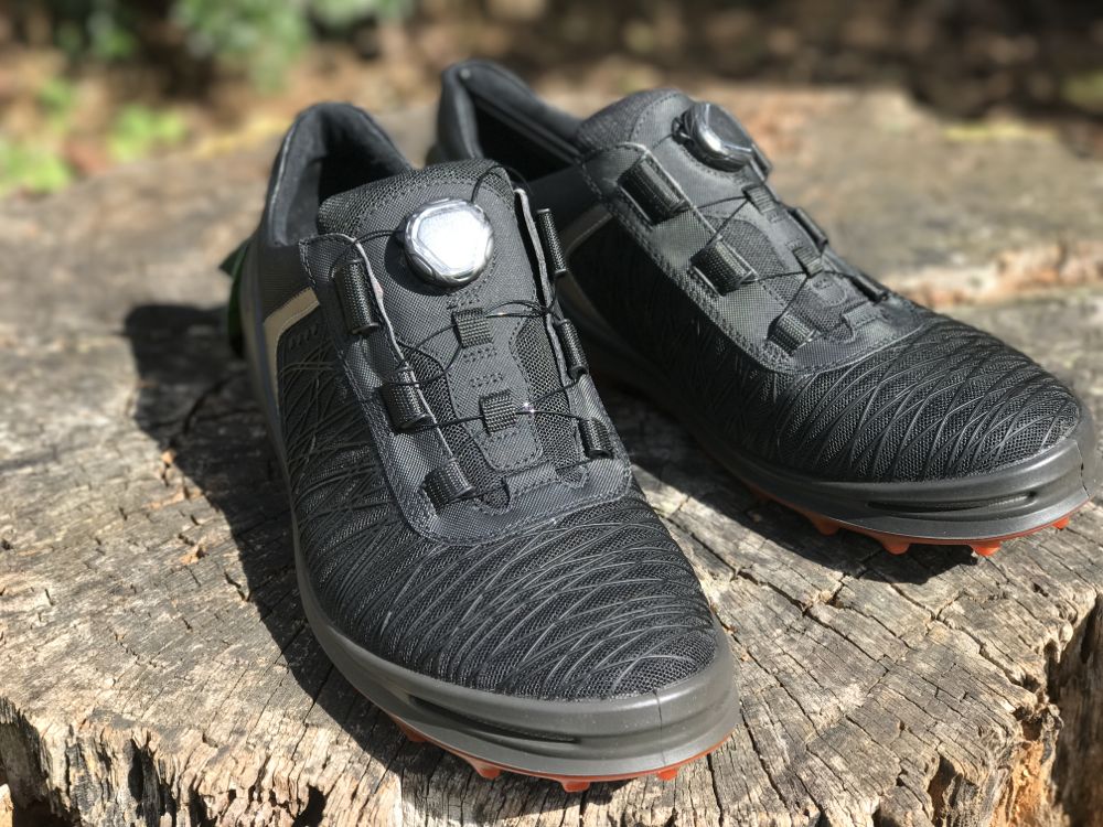 ecco cage pro gtx 2