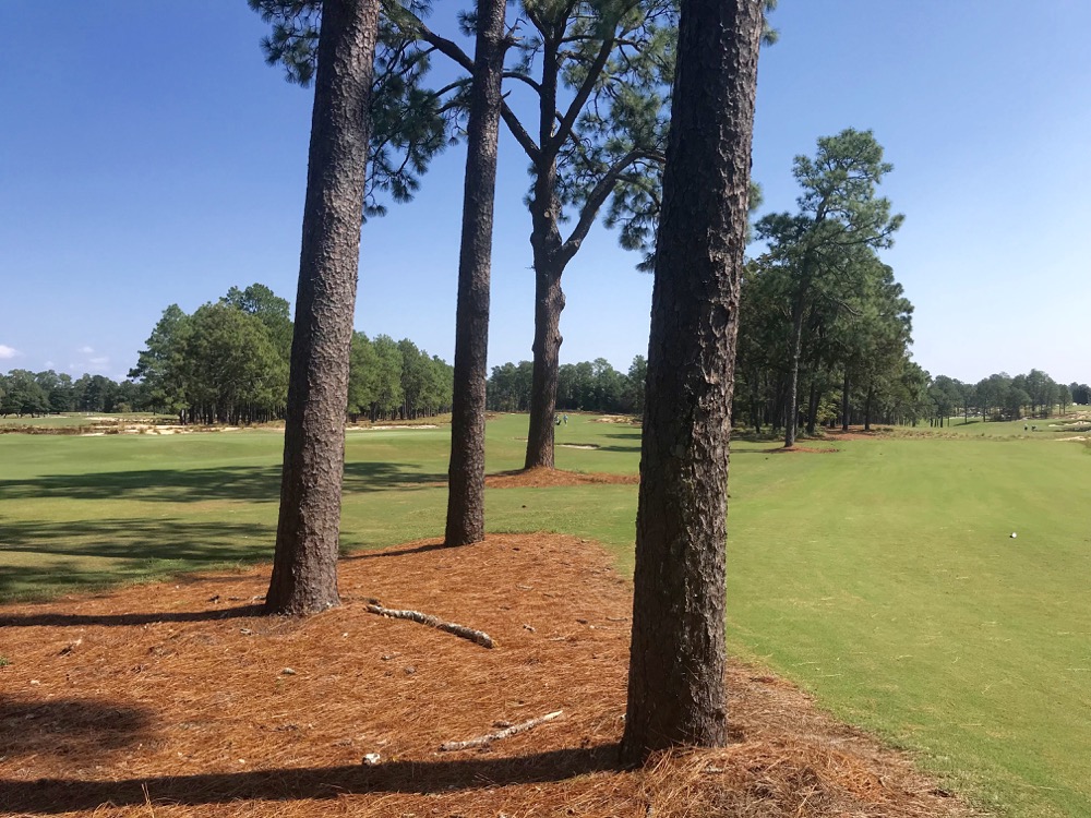 Pinehurst #4