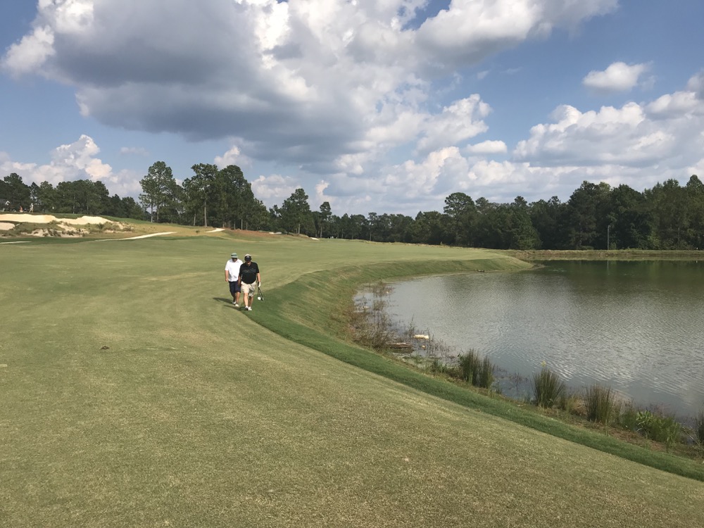 Pinehurst #4